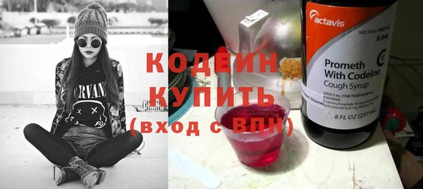 мдпв Кодинск