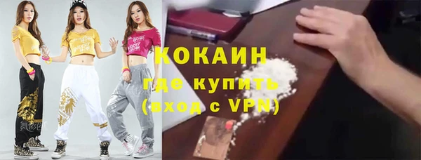 мдпв Кодинск