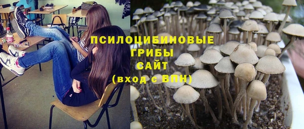 спиды Козловка
