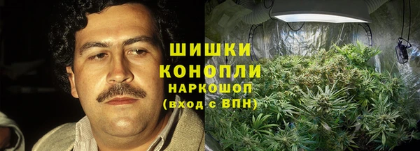 спиды Козловка