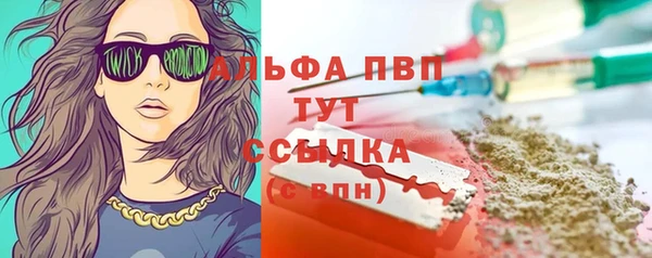 мдпв Кодинск