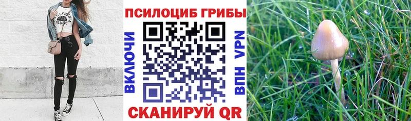 Галлюциногенные грибы ЛСД  Купить  Конаково 